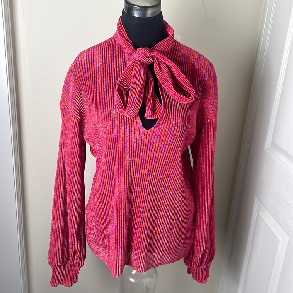 Zara Sheer Metallic Sparkly Top Size XL
